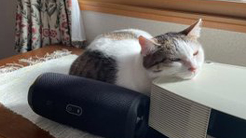 たまちゃんとチャーリーくん