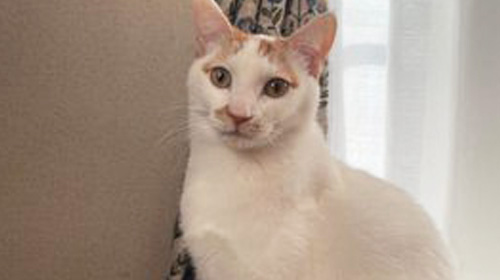 たまちゃんとチャーリーくん