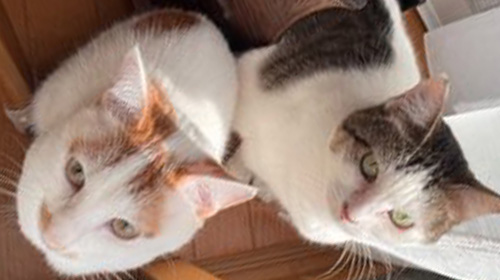 たまちゃんとチャーリーくん